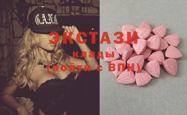 ECSTASY Богородск