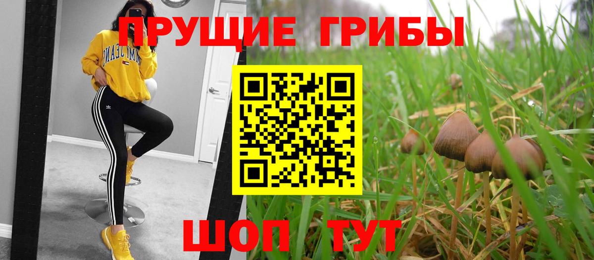 Галлюциногенные грибы мухоморы Чусовой